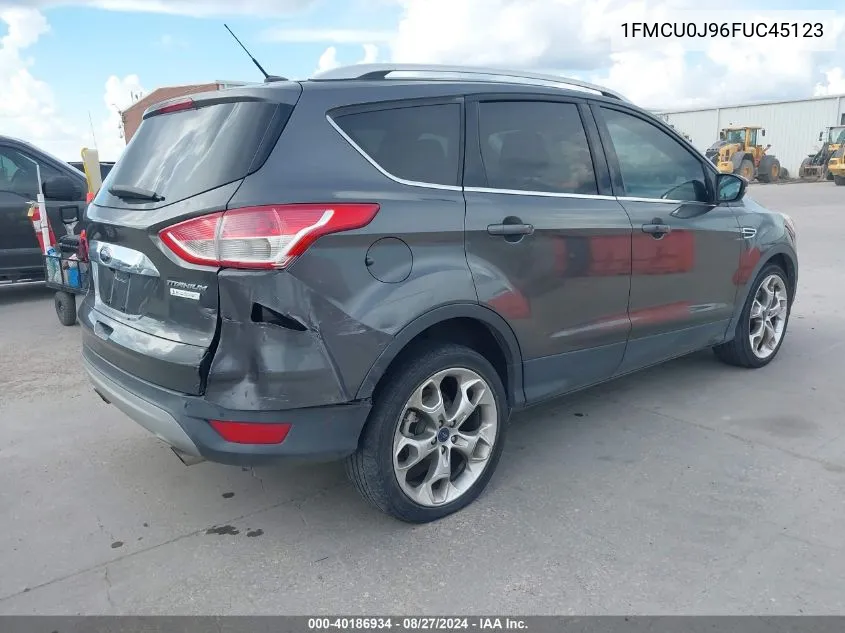 1FMCU0J96FUC45123 2015 Ford Escape Titanium