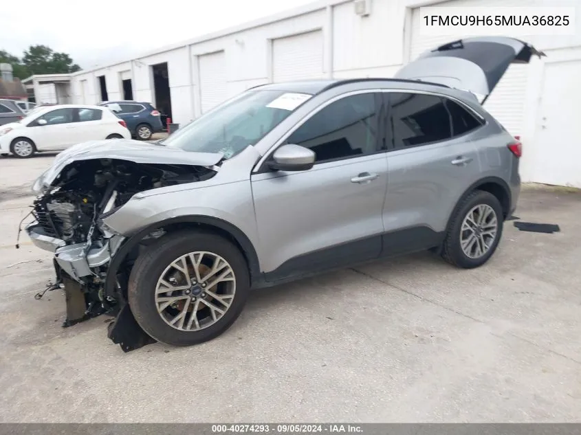 2021 Ford Escape Sel VIN: 1FMCU9H65MUA36825 Lot: 40274293