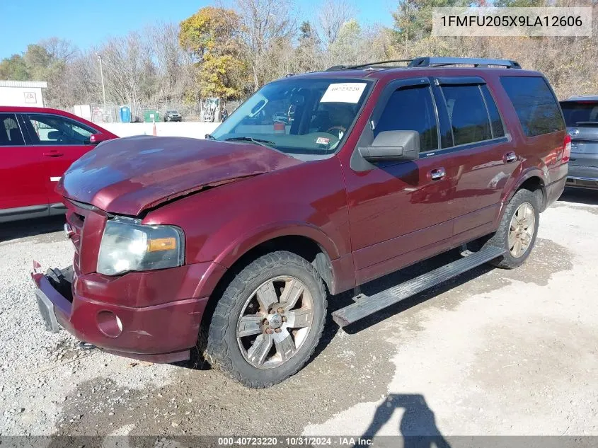 2009 Ford Expedition Limited VIN: 1FMFU205X9LA12606 Lot: 40723220