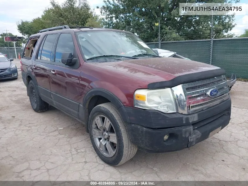 2010 Ford Expedition Eddie Bauer/King Ranch VIN: 1FMJU1H54AEA34795 Lot: 40394805