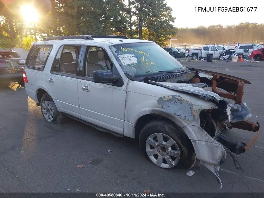 2010 Ford Expedition Xlt VIN: 1FMJU1F59AEB51677 Lot: 40580840