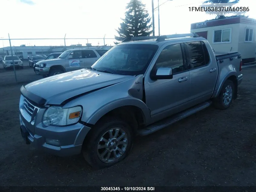 2007 Ford Explorer Sport Trac Limited VIN: 1FMEU53837UA60586 Lot: 30045345