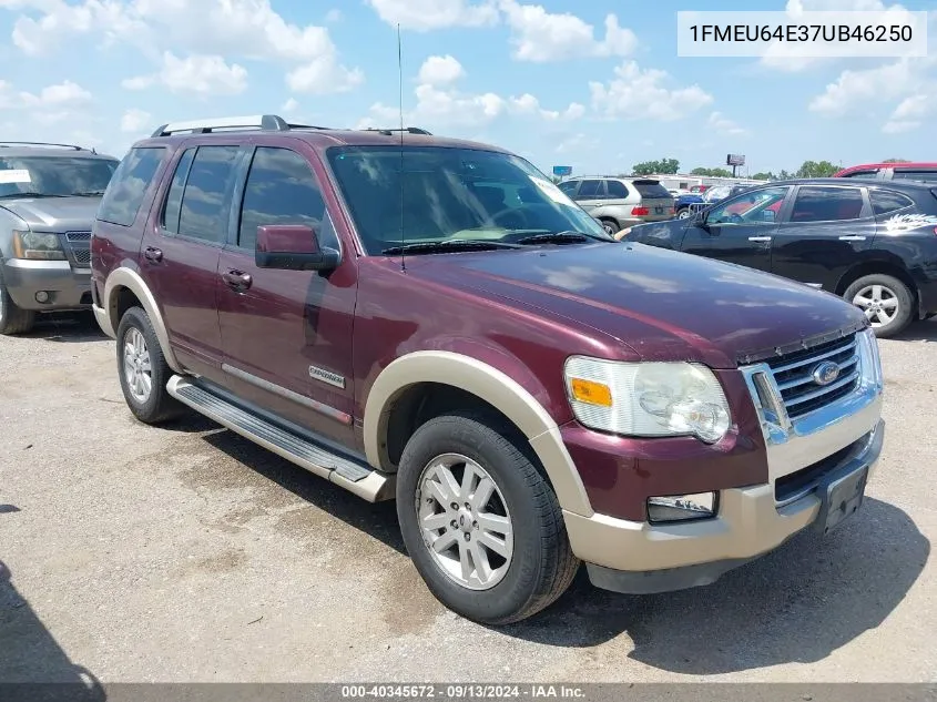 2007 Ford Explorer Eddie Bauer VIN: 1FMEU64E37UB46250 Lot: 40345672