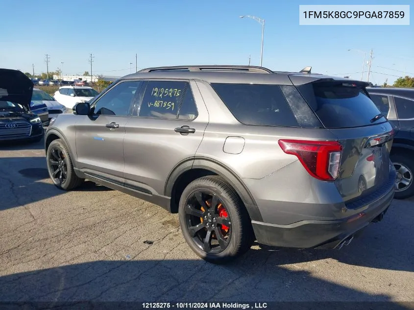 2023 Ford Explorer VIN: 1FM5K8GC9PGA87859 Lot: 12125275