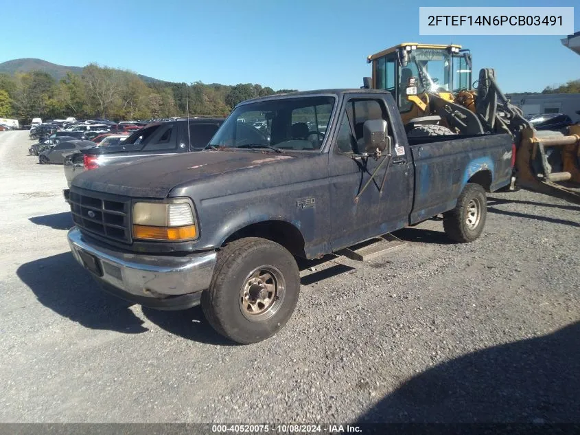 1993 Ford F150 VIN: 2FTEF14N6PCB03491 Lot: 40520075