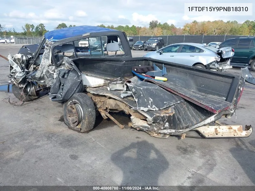 1993 Ford F150 VIN: 1FTDF15Y9PNB18310 Lot: 40808780