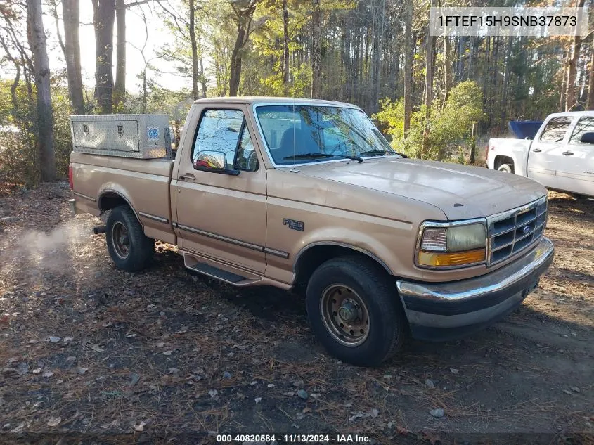 1995 Ford F150 VIN: 1FTEF15H9SNB37873 Lot: 40820584