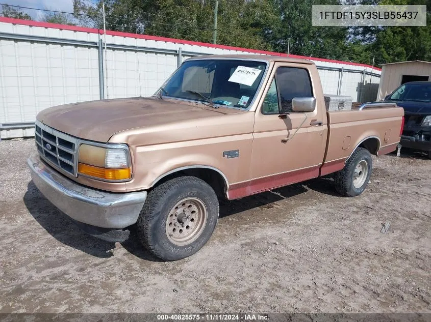 1995 Ford F150 VIN: 1FTDF15Y3SLB55437 Lot: 40825575