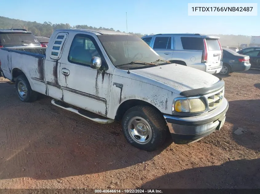 1997 Ford F-150 Lariat/Standard/Xl/Xlt VIN: 1FTDX1766VNB42487 Lot: 40646614