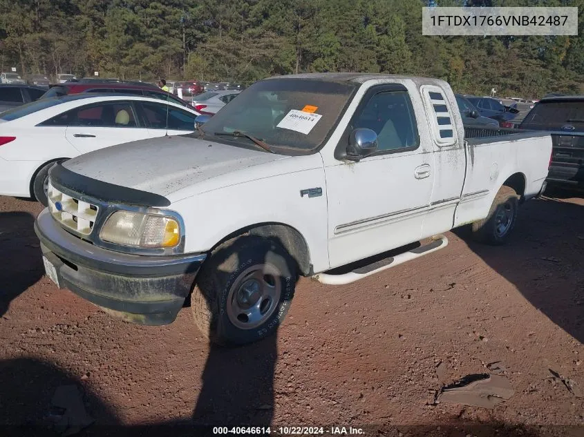 1997 Ford F-150 Lariat/Standard/Xl/Xlt VIN: 1FTDX1766VNB42487 Lot: 40646614