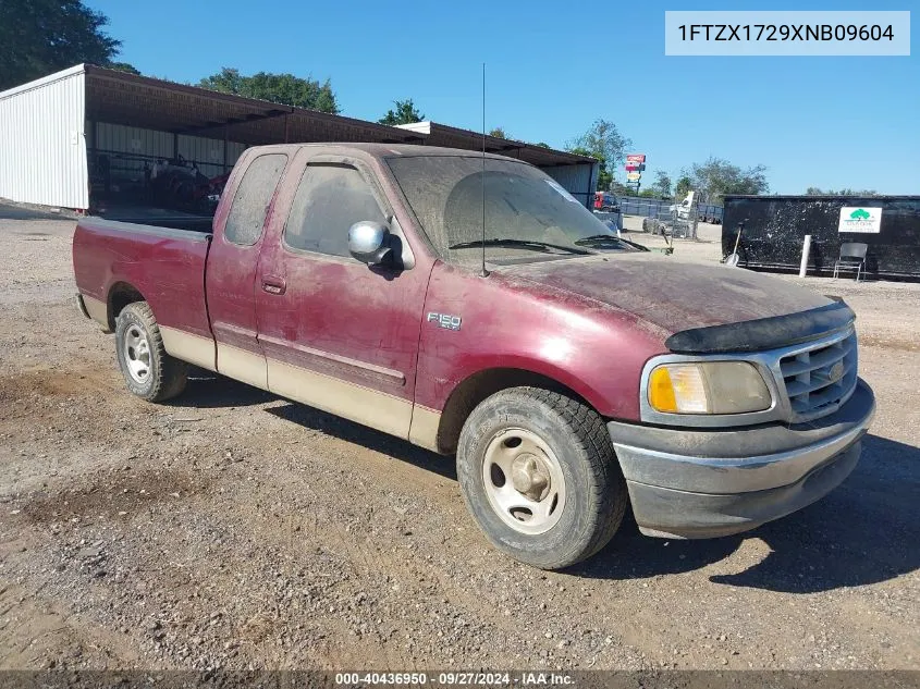 1999 Ford F-150 Work Series/Xl/Xlt VIN: 1FTZX1729XNB09604 Lot: 40436950