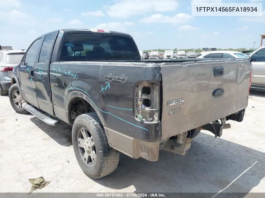 2005 Ford F-150 Fx4/Lariat/Xl/Xlt VIN: 1FTPX14565FA18934 Lot: 39787893