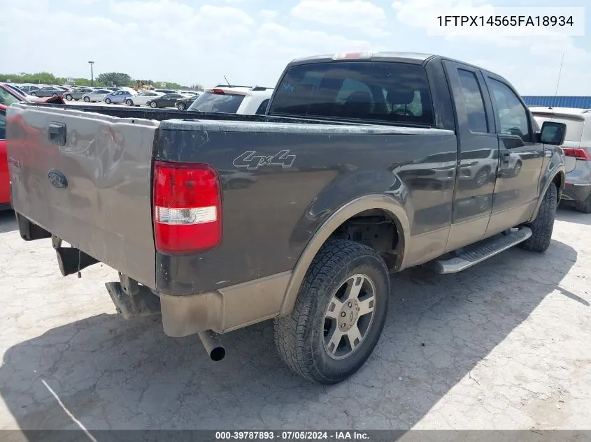 2005 Ford F-150 Fx4/Lariat/Xl/Xlt VIN: 1FTPX14565FA18934 Lot: 39787893