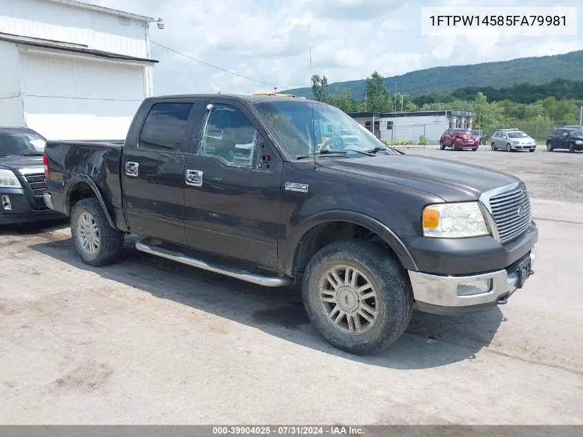 2005 Ford F-150 Fx4/Lariat/Xlt VIN: 1FTPW14585FA79981 Lot: 39904025