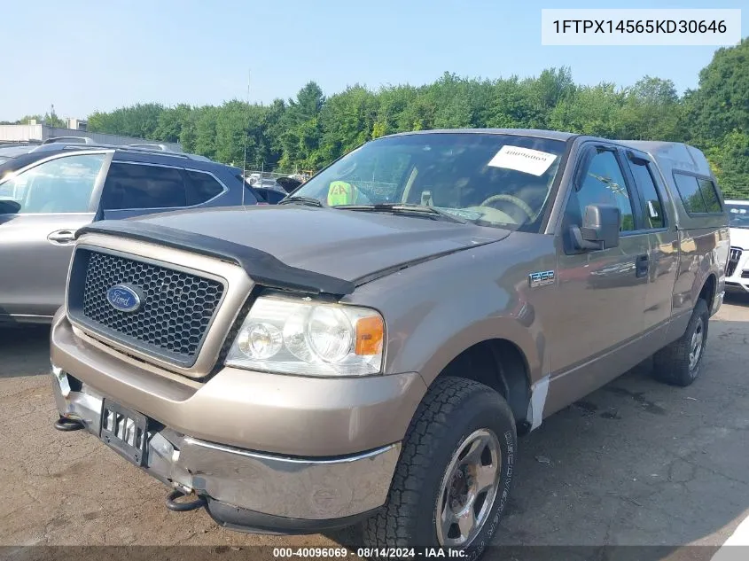 2005 Ford F-150 Fx4/Lariat/Xl/Xlt VIN: 1FTPX14565KD30646 Lot: 40096069