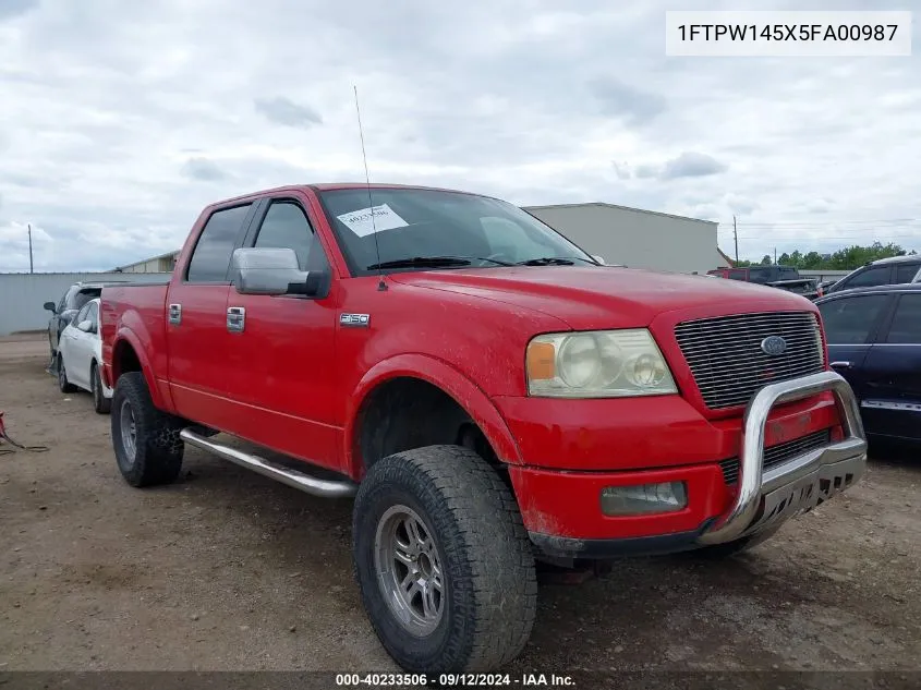 2005 Ford F-150 Fx4/Lariat/Xlt VIN: 1FTPW145X5FA00987 Lot: 40233506