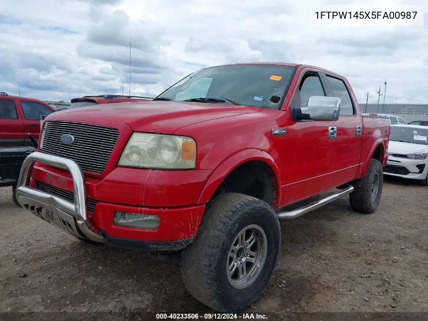 2005 Ford F-150 Fx4/Lariat/Xlt VIN: 1FTPW145X5FA00987 Lot: 40233506