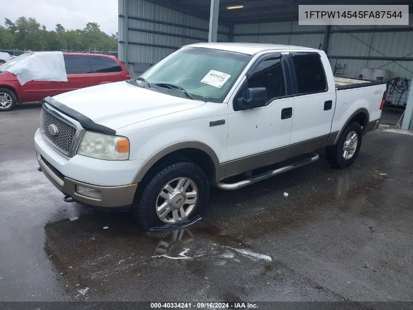 2005 Ford F-150 Fx4/Lariat/Xlt VIN: 1FTPW14545FA87544 Lot: 40334241