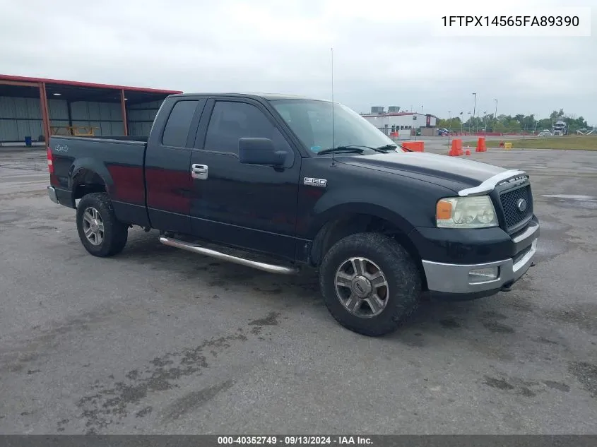 2005 Ford F-150 Fx4/Lariat/Xl/Xlt VIN: 1FTPX14565FA89390 Lot: 40352749