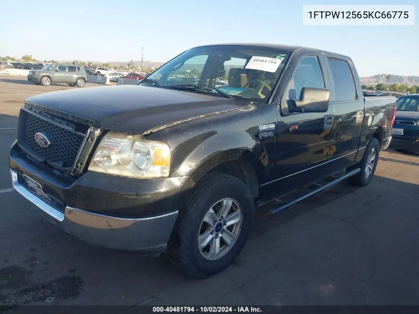 2005 Ford F-150 Lariat/Xlt VIN: 1FTPW12565KC66775 Lot: 40481794