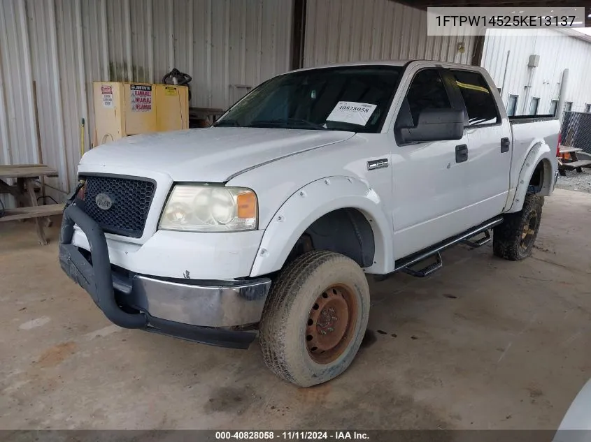 2005 Ford F-150 Fx4/Lariat/Xlt VIN: 1FTPW14525KE13137 Lot: 40828058