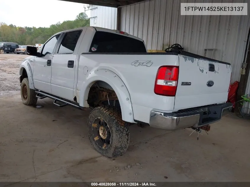 2005 Ford F-150 Fx4/Lariat/Xlt VIN: 1FTPW14525KE13137 Lot: 40828058