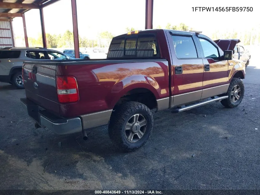 2005 Ford F-150 Fx4/Lariat/Xlt VIN: 1FTPW14565FB59750 Lot: 40843649