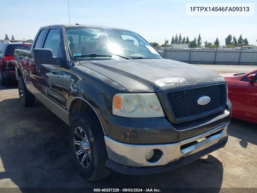 2006 Ford F-150 Fx4/Lariat/Xl/Xlt VIN: 1FTPX14546FA09313 Lot: 40257229