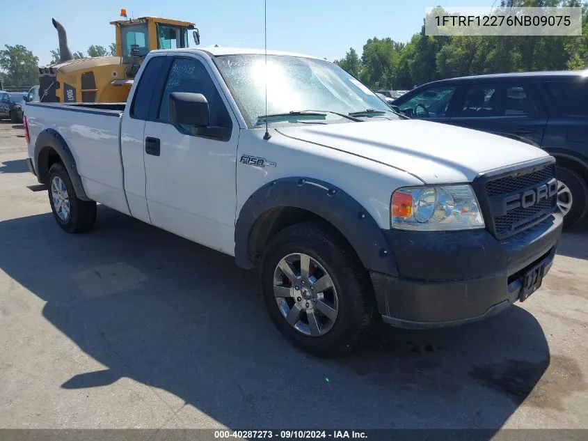 2006 Ford F-150 Stx/Xl/Xlt VIN: 1FTRF12276NB09075 Lot: 40287273