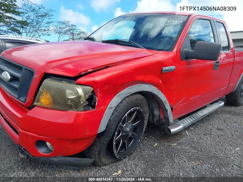 2006 Ford F-150 Fx4/Lariat/Xl/Xlt VIN: 1FTPX14506NA08309 Lot: 40874347