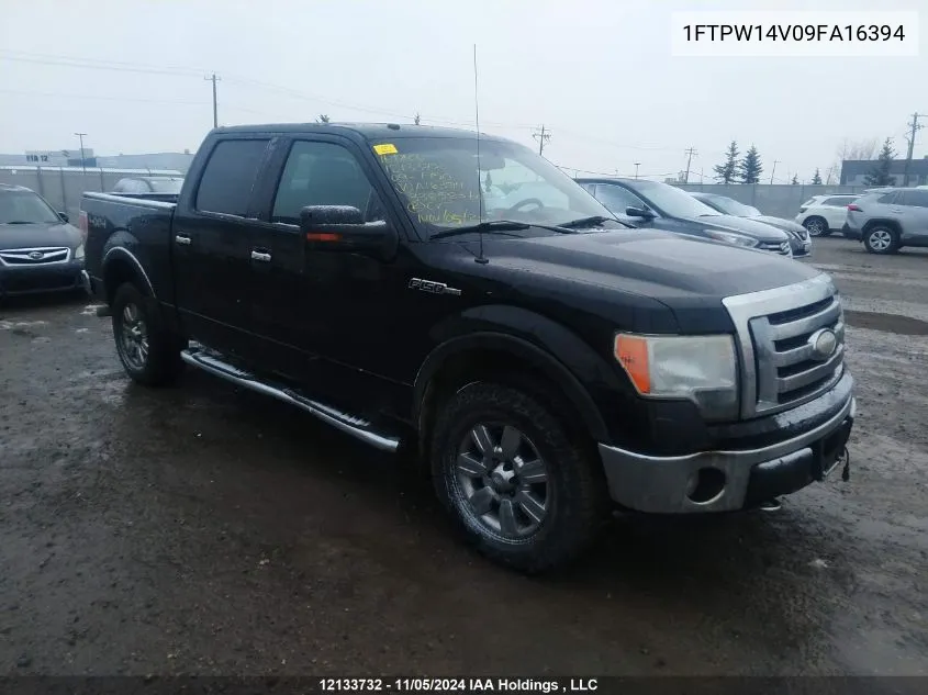 2009 Ford F150 Supercrew VIN: 1FTPW14V09FA16394 Lot: 12133732