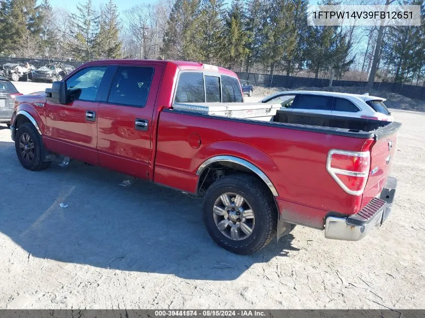 2009 Ford F-150 Fx4/Lariat/Xl/Xlt VIN: 1FTPW14V39FB12651 Lot: 39441574