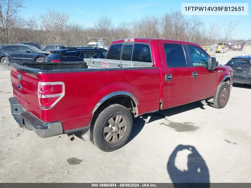 2009 Ford F-150 Fx4/Lariat/Xl/Xlt VIN: 1FTPW14V39FB12651 Lot: 39441574