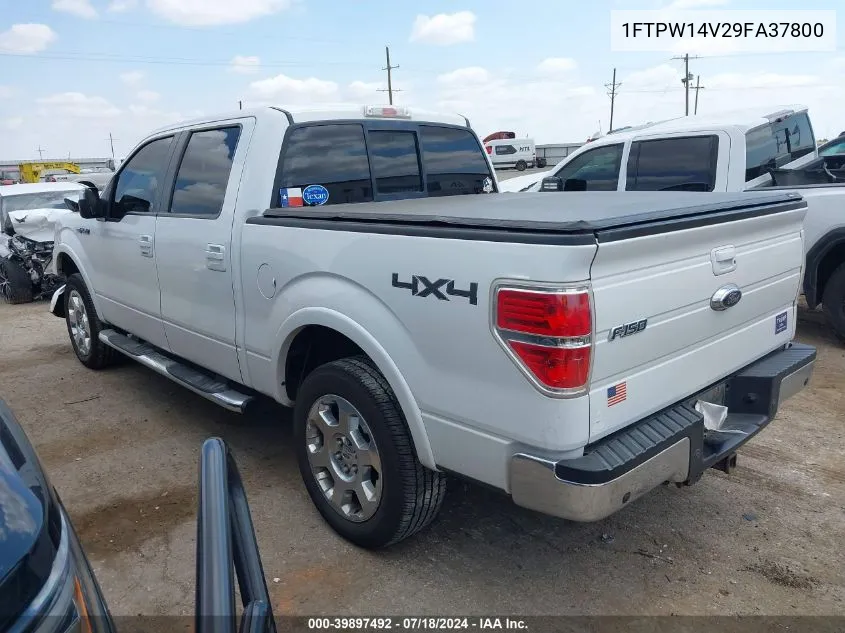 2009 Ford F-150 Lariat VIN: 1FTPW14V29FA37800 Lot: 39897492