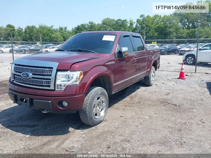 2009 Ford F-150 Fx4/King Ranch/Lariat/Platinum/Xl/Xlt VIN: 1FTPW14V09FB45686 Lot: 40138440