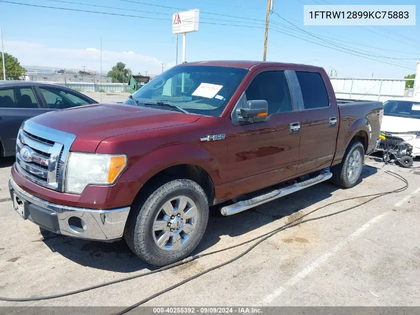 2009 Ford F-150 Xl/Xlt VIN: 1FTRW12899KC75883 Lot: 40255392