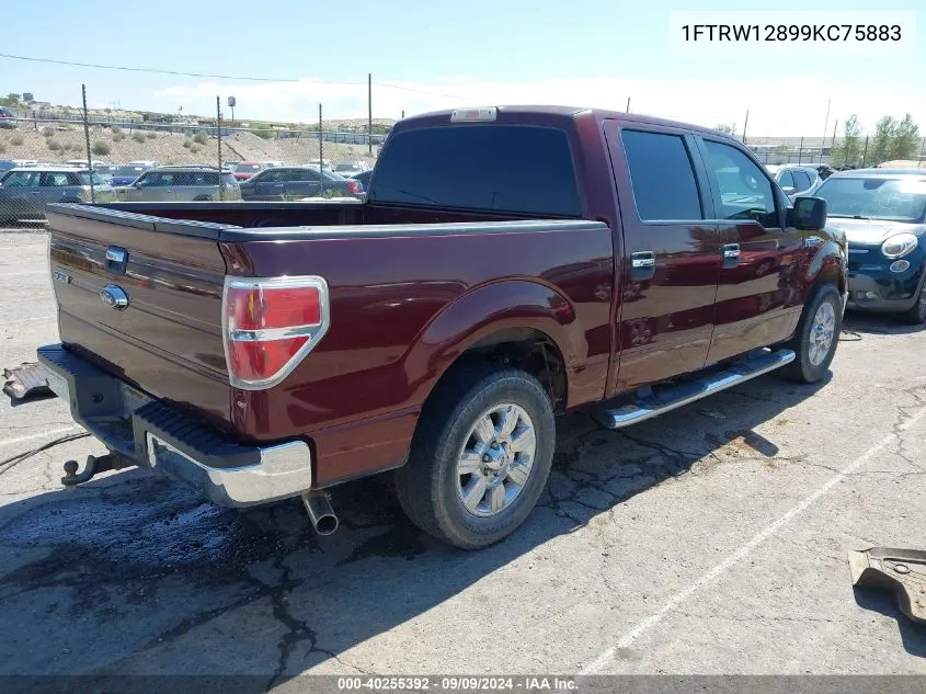 2009 Ford F-150 Xl/Xlt VIN: 1FTRW12899KC75883 Lot: 40255392