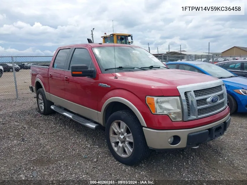 2009 Ford F-150 Fx4/King Ranch/Lariat/Platinum/Xl/Xlt VIN: 1FTPW14V59KC36458 Lot: 40260351