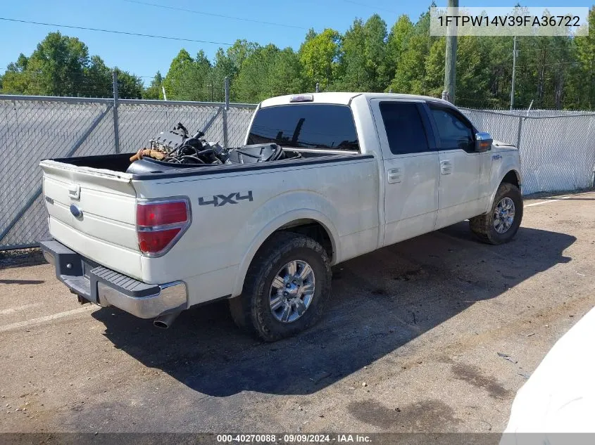 2009 Ford F-150 Fx4/King Ranch/Lariat/Platinum/Xl/Xlt VIN: 1FTPW14V39FA36722 Lot: 40270088