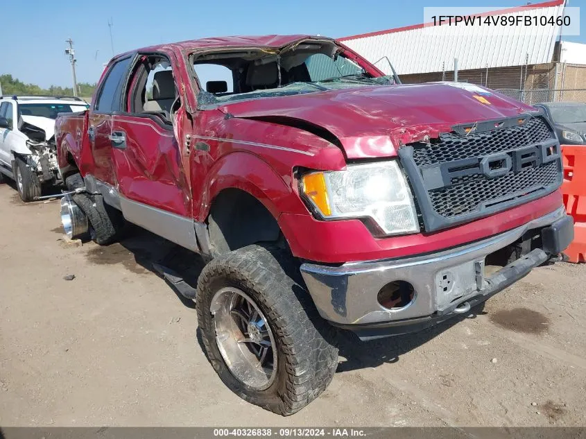 2009 Ford F-150 Xlt VIN: 1FTPW14V89FB10460 Lot: 40326838