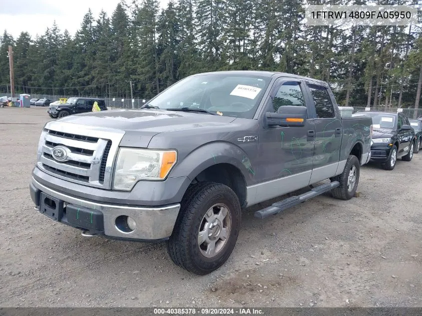 2009 Ford F-150 Xl/Xlt VIN: 1FTRW14809FA05950 Lot: 40385378