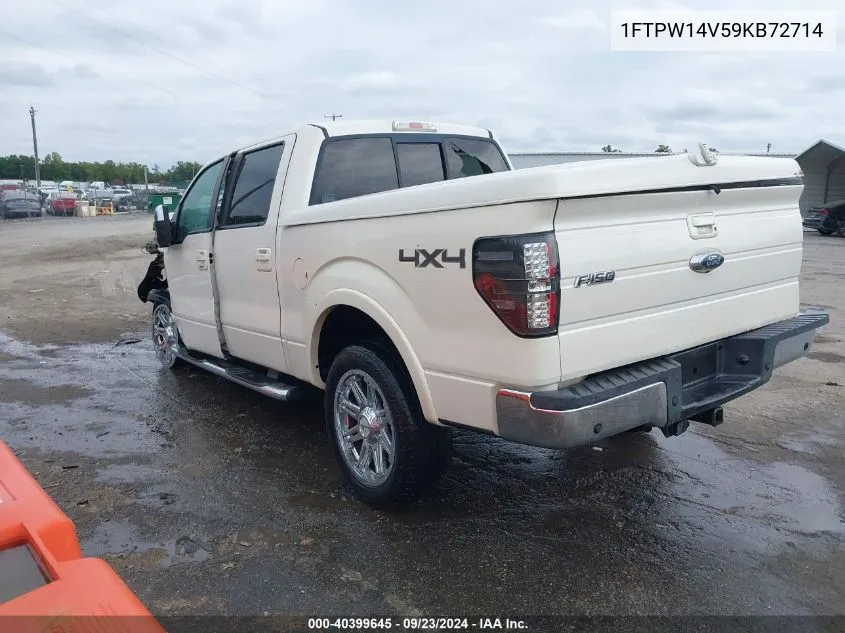 2009 Ford F-150 Fx4/King Ranch/Lariat/Platinum/Xl/Xlt VIN: 1FTPW14V59KB72714 Lot: 40399645