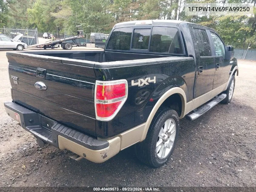 2009 Ford F-150 Fx4/King Ranch/Lariat/Platinum/Xl/Xlt VIN: 1FTPW14V69FA99250 Lot: 40409573