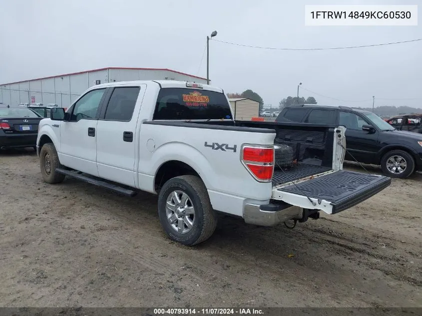 2009 Ford F-150 Xlt VIN: 1FTRW14849KC60530 Lot: 40793914