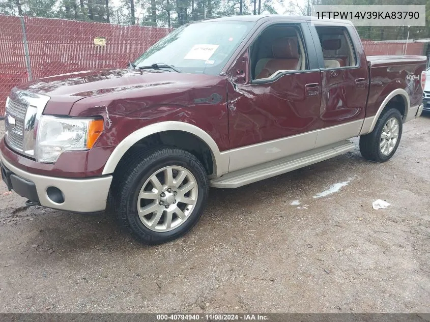 2009 Ford F-150 Fx4/King Ranch/Lariat/Platinum/Xl/Xlt VIN: 1FTPW14V39KA83790 Lot: 40794940