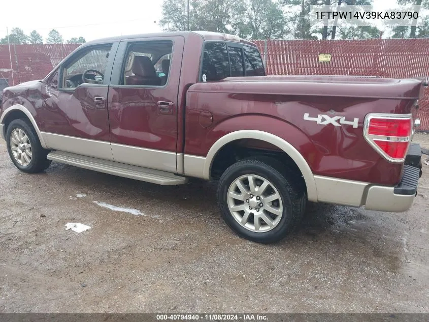 2009 Ford F-150 Fx4/King Ranch/Lariat/Platinum/Xl/Xlt VIN: 1FTPW14V39KA83790 Lot: 40794940