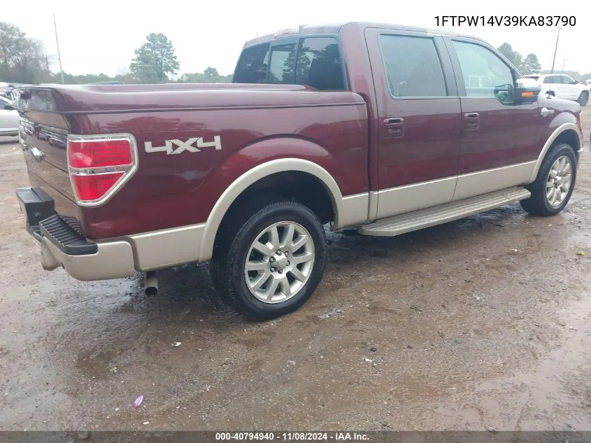 2009 Ford F-150 Fx4/King Ranch/Lariat/Platinum/Xl/Xlt VIN: 1FTPW14V39KA83790 Lot: 40794940