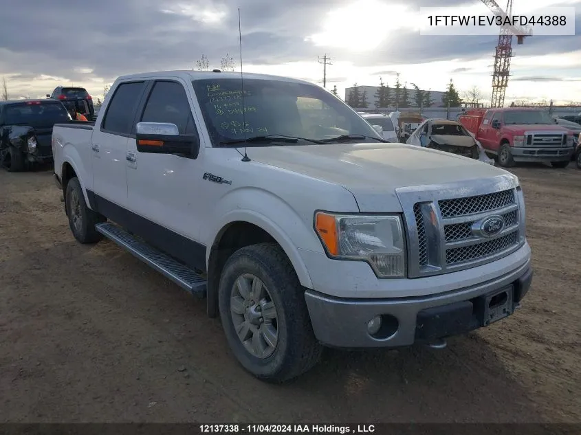 2010 Ford F-150 VIN: 1FTFW1EV3AFD44388 Lot: 12137338