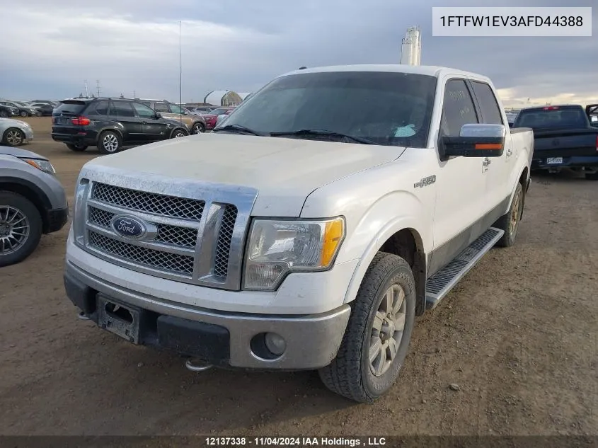 2010 Ford F-150 VIN: 1FTFW1EV3AFD44388 Lot: 12137338