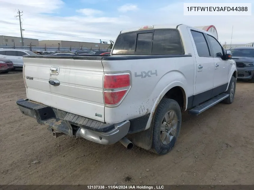 1FTFW1EV3AFD44388 2010 Ford F-150